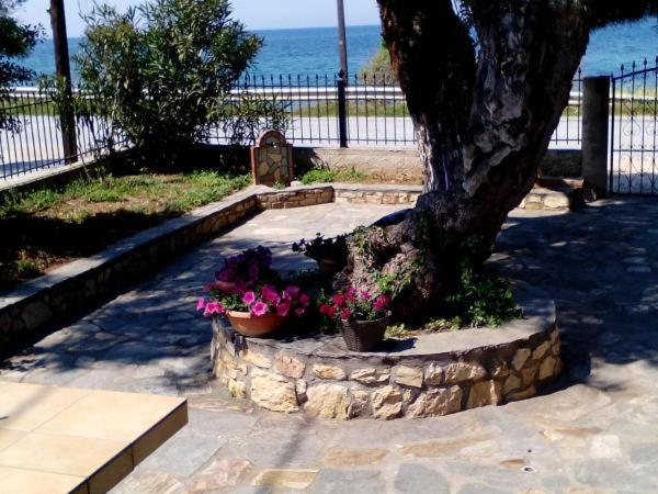 Aegialis Villa Skala Kallirakhis Exterior photo